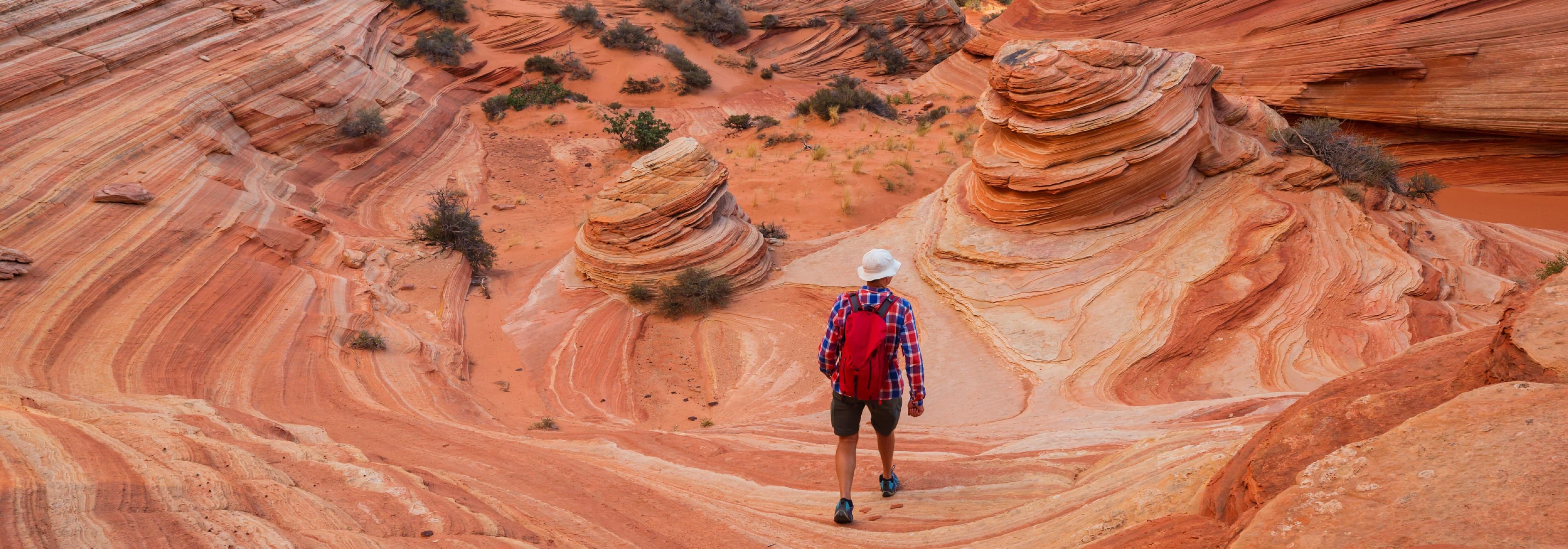 Desert landscape with red rock formations