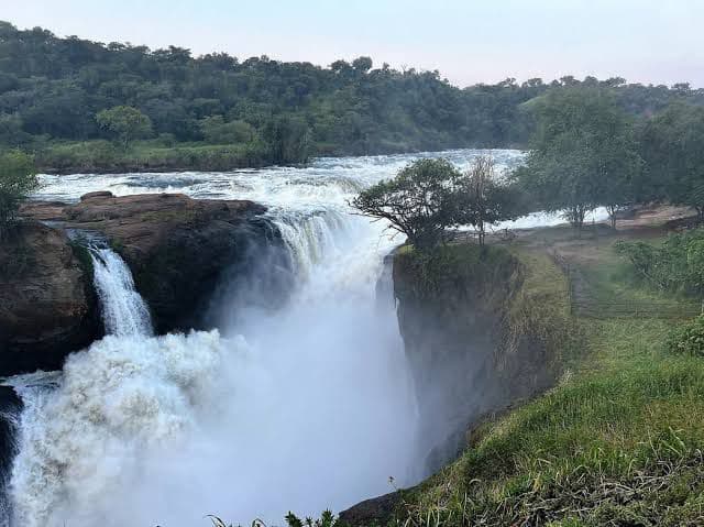 Murchison Falls Experience - Image 4