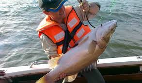 Catch & Relax Fishing Adventure - Image 2