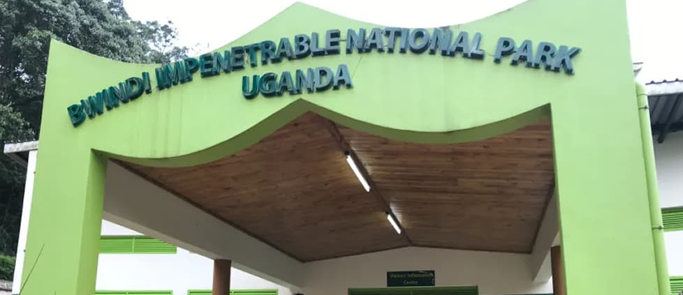 Wildlife & Gorilla Trekking Safari - Image 4