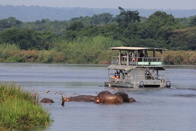 Murchison Falls Experience - Image 2