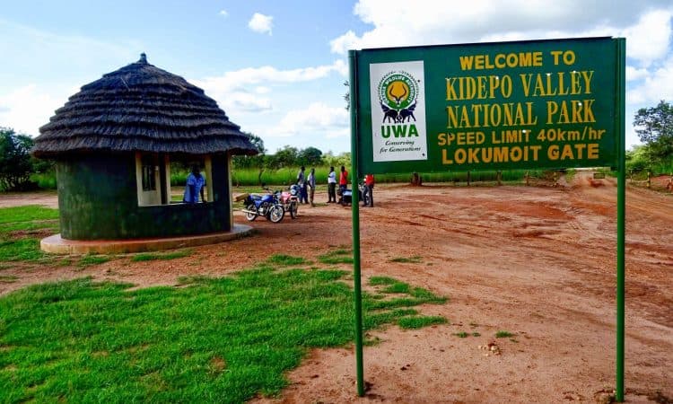 Kidepo Valley Safari Adventure - Image 3
